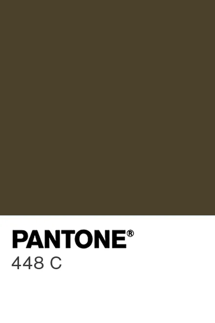 whoever said this color is ugly is blind af icl