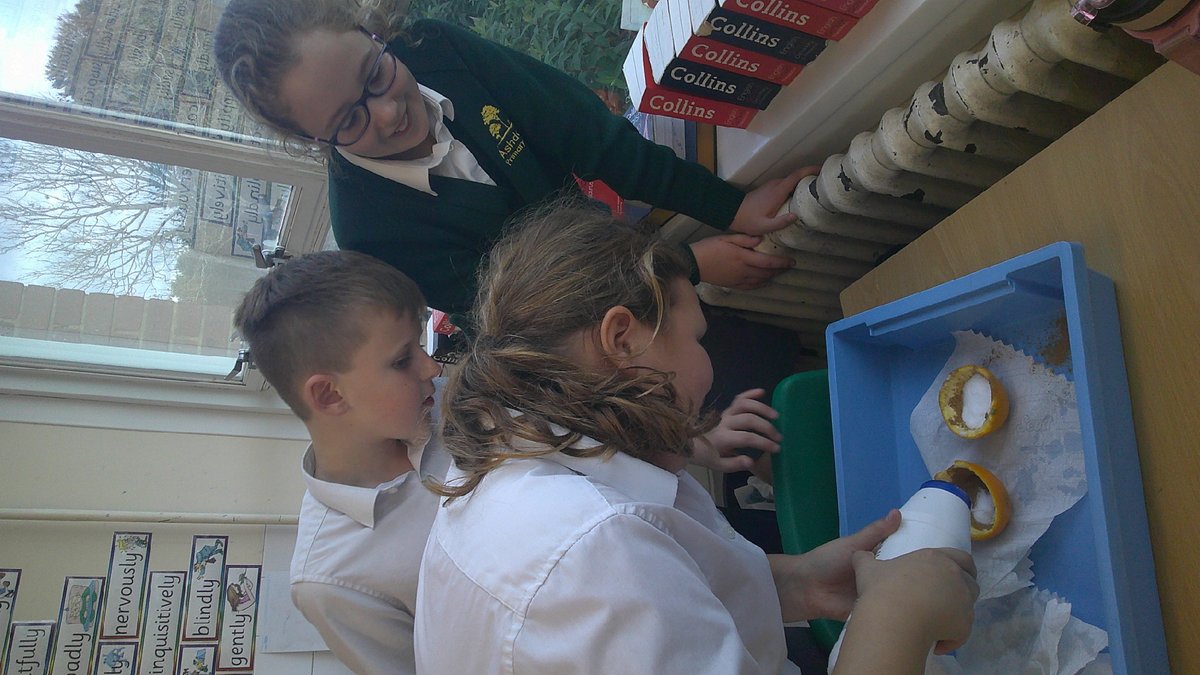 Ashdown Primary School tweet media