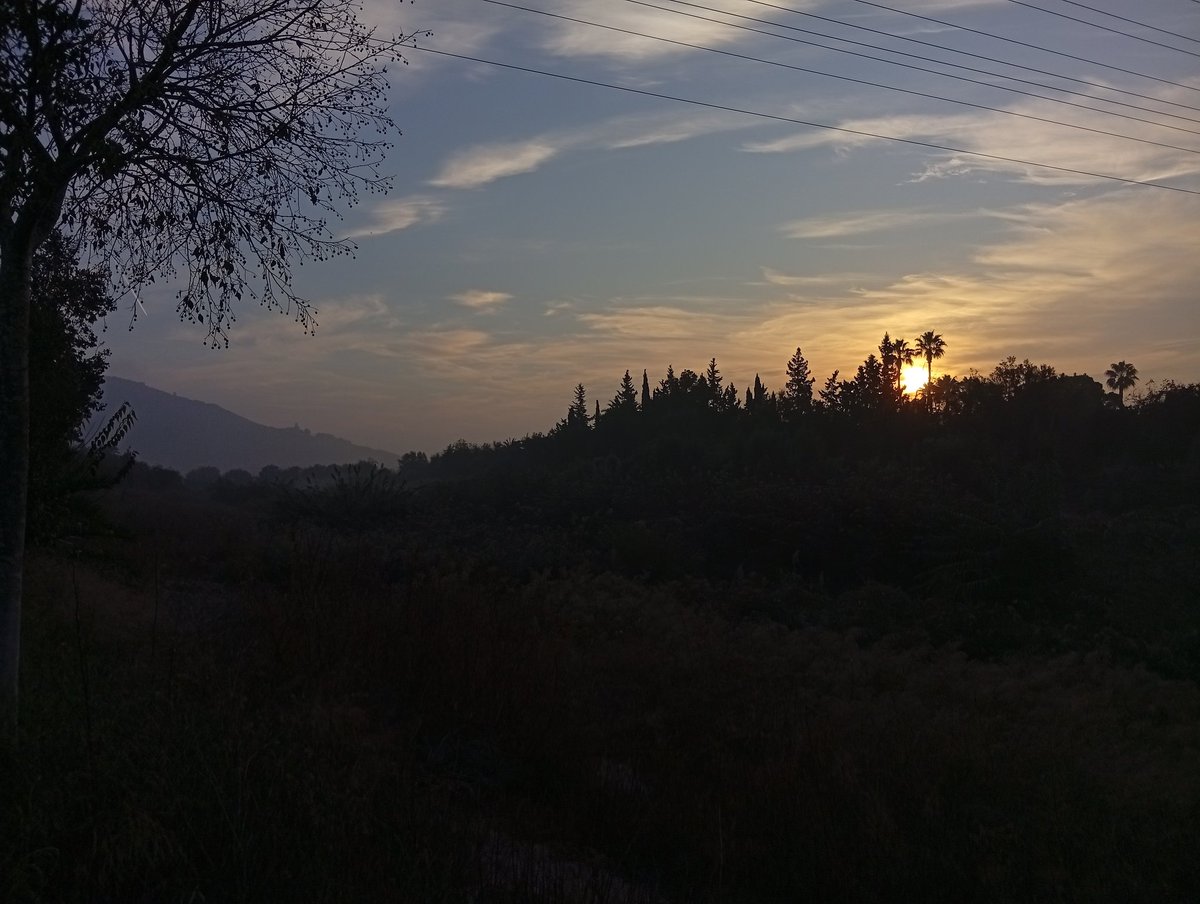 Meteoinfo_RTC's tweet photo. Amacene en Orihuela con algo de fresquito y bancos de niebla. 
Buenos días https://t.co/5386S2e0aL
