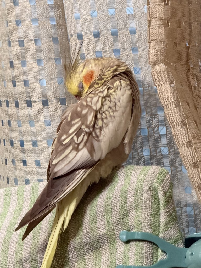 静かだと思ってたら普通に爆睡してたw