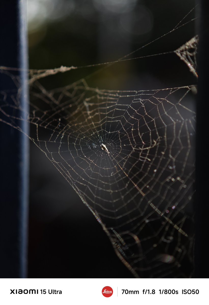 You’ll never realize what perspective you’re missing if your phone doesn’t have a tele or tele-macro lens.
If you’re into mobile photography, you MUST MUST have at least one or two telephoto lenses.
How many of you agree?

1X vs 3X here...
The web is very small.

#Xiaomi15Ultra