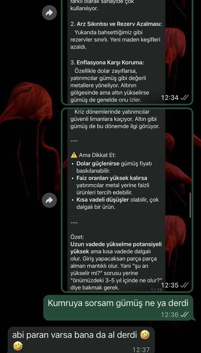 Kumruya sormadan yatırım yapmayın sjdjdkkslsld