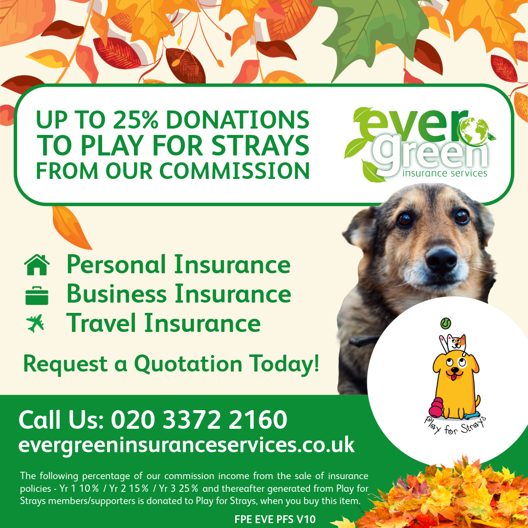 Evergreen Insurance Services tweet media