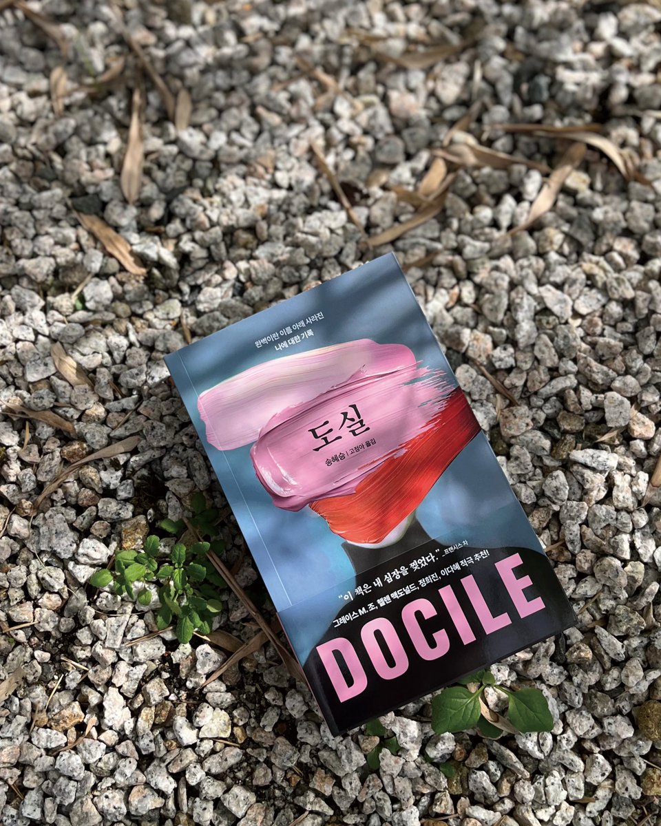 dplotpress's tweet image. &quot;평생 ‘나는 부족하다’는 결핍감에 시달리는 여성이 있다면, 이 책은 큰 위로가 될 것이다.&quot;

_정희진(서평가, 문학박사,『다시 페미니즘의 도전』 저자)