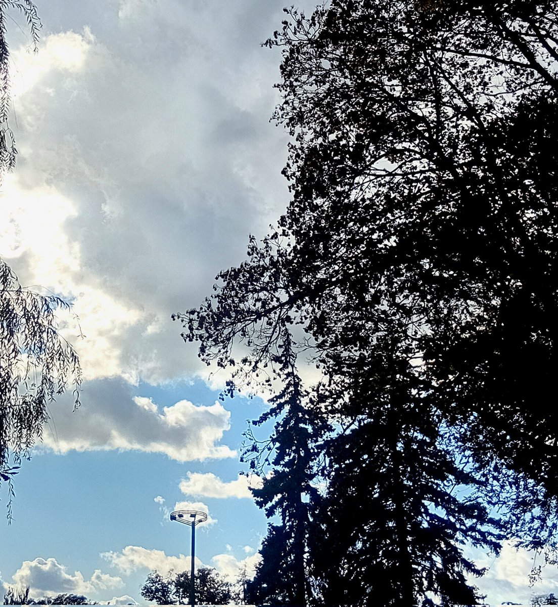 Катерина Галич tweet media