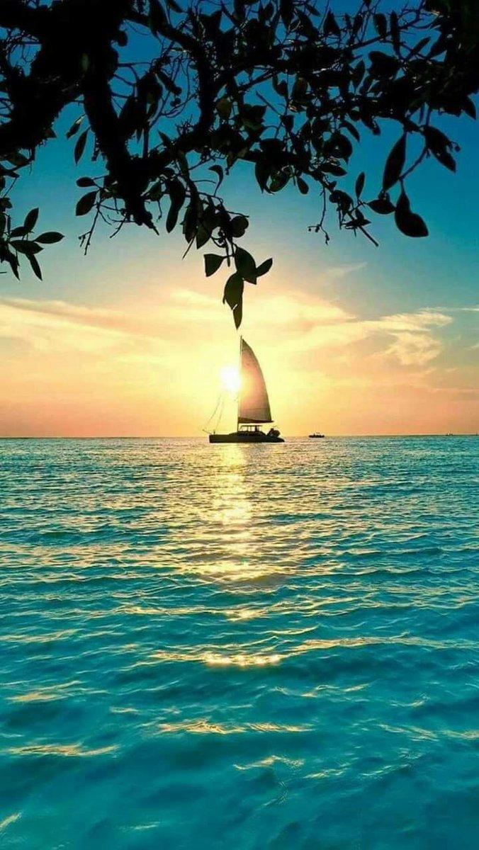 _i_tti's tweet image. 📝

" دون أن تشعر .. ستجد في طريقك شخصاً يشبهك لدرجةٍ مُطمْئنة وكأنك خُلقتَ مرتين "
#صباح_الخير
#اصدقاء_حلا_للتبادل