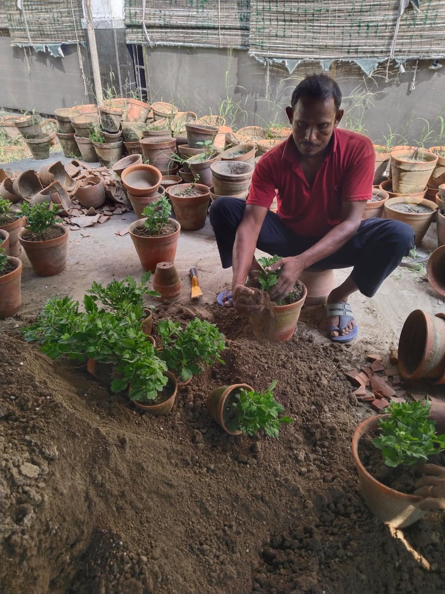 iacskolkata's tweet photo. Observance of Special Campaign 5.0 at IACS.
Major Plantation at IACS. #departmentofscienceandtechnology #MinistryOfJalshakti #departmentofdrinkingwaterandsanitation #MinistryofEnvironmentForestandClimateChange https://t.co/FkRzU6xuhC
