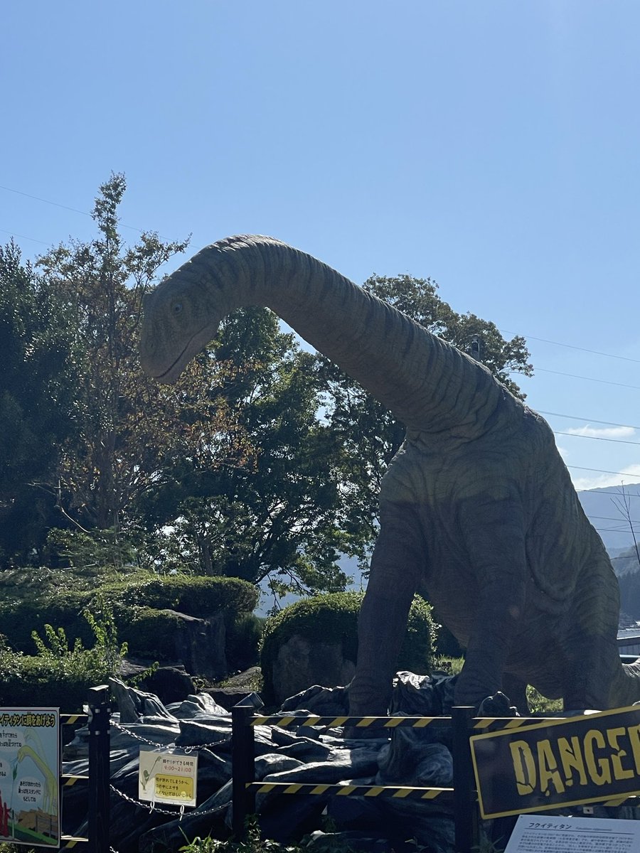 NAOKI (@neo_naoki_dr) / Posts / X