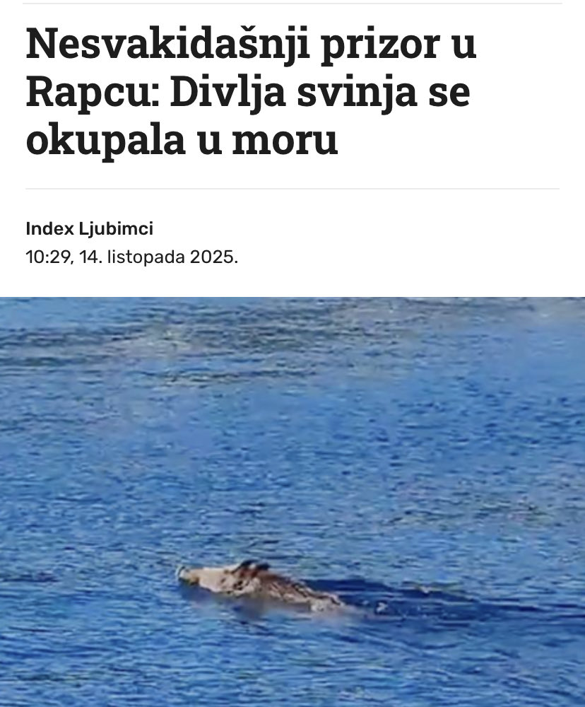 ja kad odem u 10-om mjesecu na more: