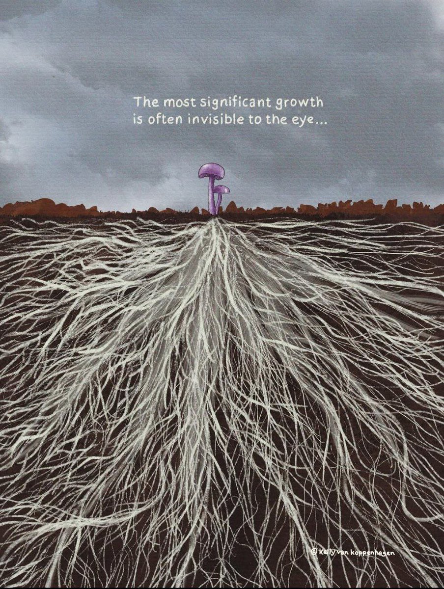 Growth Beneath the Surface 🌱✨