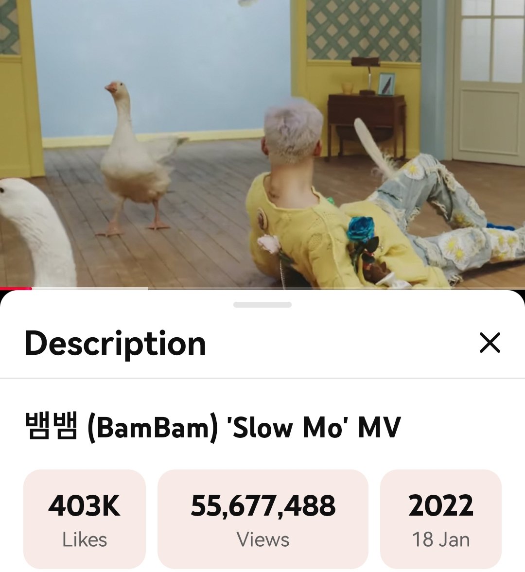 lovecatbb97's tweet image. พี่ #WONDERING  แซง พี่ #SlowMo เรียบร้อย
By #BamBam