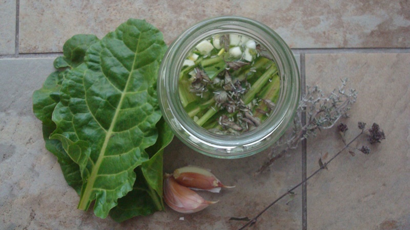 concienciaeco's tweet photo. Aprende a fermentar plantas silvestres a nivel culinario y medicinal
https://t.co/plvgvGiBOz
#medioambiente #plantassilvestres #fermentación #aprendizaje #cocina #plantasmedicinales #salud #medicinanatural #alimentación #libro #alimentaciónconsciente #alimentosfermentados https://t.co/gYao4xgmPX