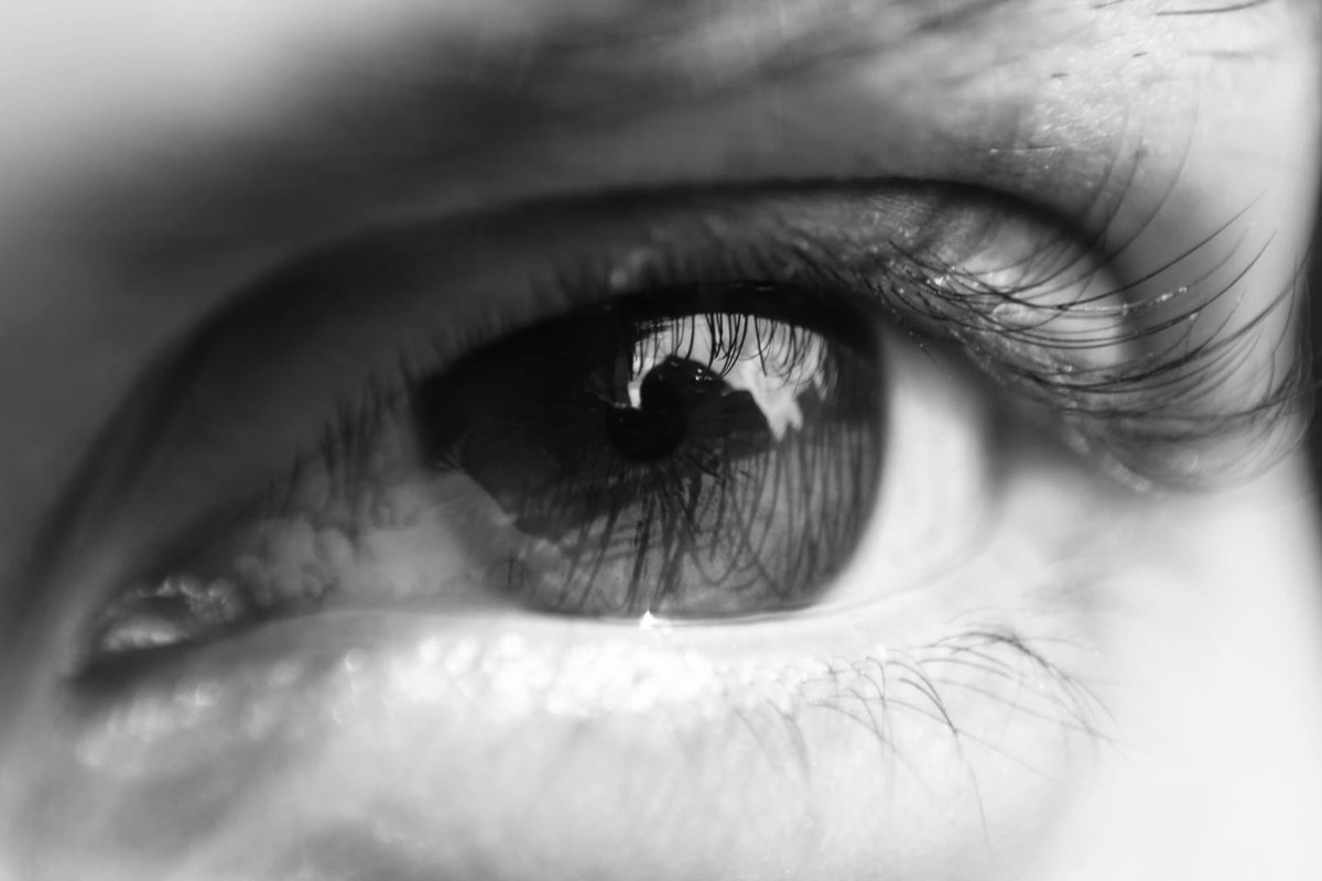 Sigfried tweet media