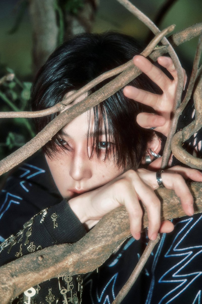 &TEAM❤︎Back to Life 韓国特典 フウマ FUMA &TEAM - [BACK TO LIFE] KR 1st Mini Album ROAR FUMA Version