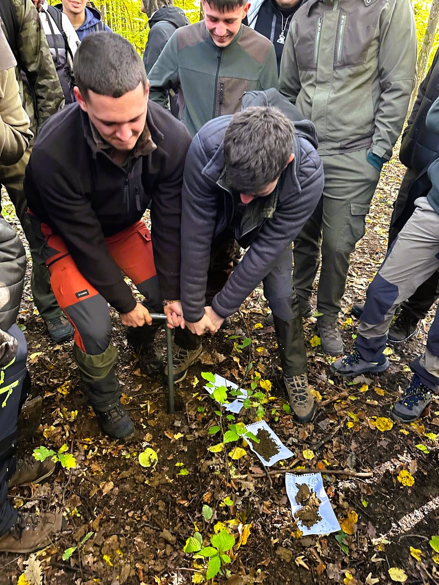 RNP_Romsilva's tweet image. 𝗢𝗰𝗼𝗹𝘂𝗹 𝗦𝗶𝗹𝘃𝗶𝗰 𝗔𝗱𝗮̂𝗻𝗰𝗮𝘁𝗮 a găzduit prima zi de 𝗽𝗿𝗮𝗰𝘁𝗶𝗰𝗮̆ 𝗽𝗲𝗱𝗼-𝗱𝗲𝗻𝗱𝗿𝗼𝗹𝗼𝗴𝗶𝗰𝗮̆ pentru studenții anului II de la 𝗙𝗮𝗰𝘂𝗹𝘁𝗮𝘁𝗲𝗮 𝗱𝗲 𝗦𝗶𝗹𝘃𝗶𝗰𝘂𝗹𝘁𝘂𝗿𝗮̆ 𝗦𝘂𝗰𝗲𝗮𝘃𝗮. 
#students #forestry #fieldtrip #Romsilva