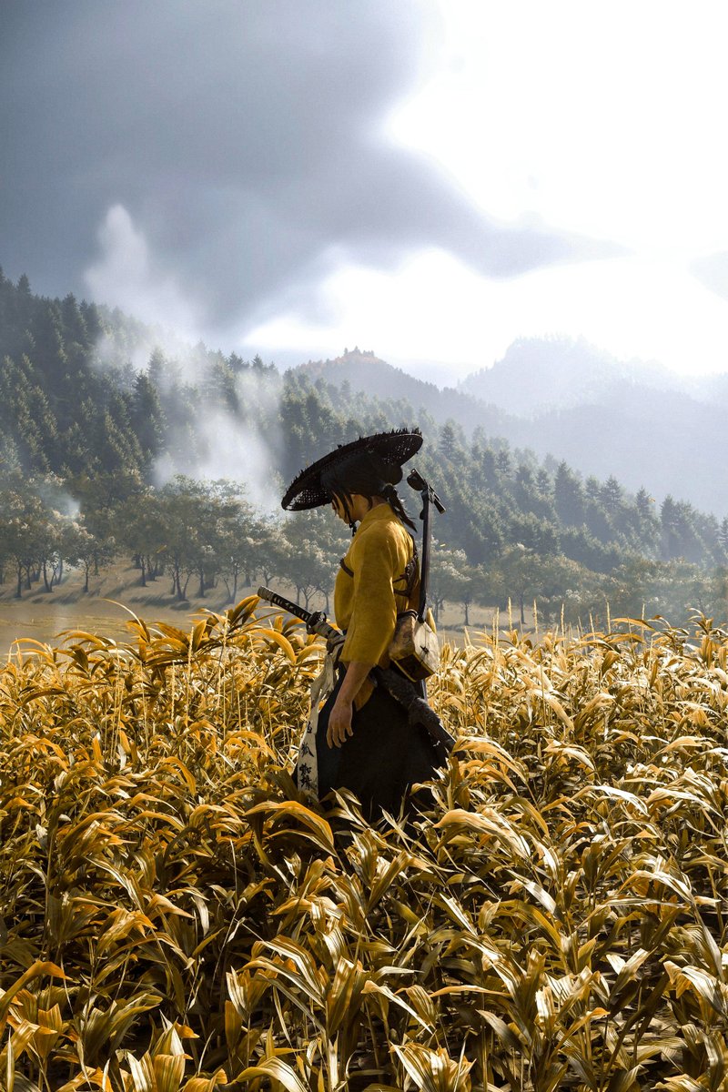 Morph__1's tweet photo. Ghost of Yōtei 🌾 https://t.co/4DSjx0p7xr