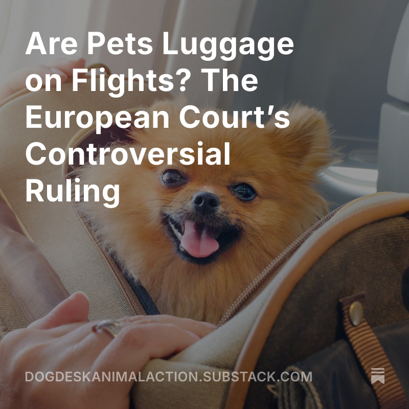 Our dogs will never fly again✈️❌

Airlines are losing dogs and cats and now the European Court has ruled they’re baggage!

Outrageous. Pets are family, not luggage🐾💔

Read here 👇dogdeskanimalaction.substack.com/p/are-pets-lug… 

#AnimalWelfare #StopTheBaggageRule #DogsAreFamily