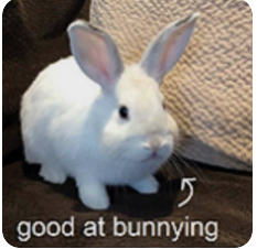 Miss Bunny 🐇bunny Moon goddess 🌕 Vtuber tweet media