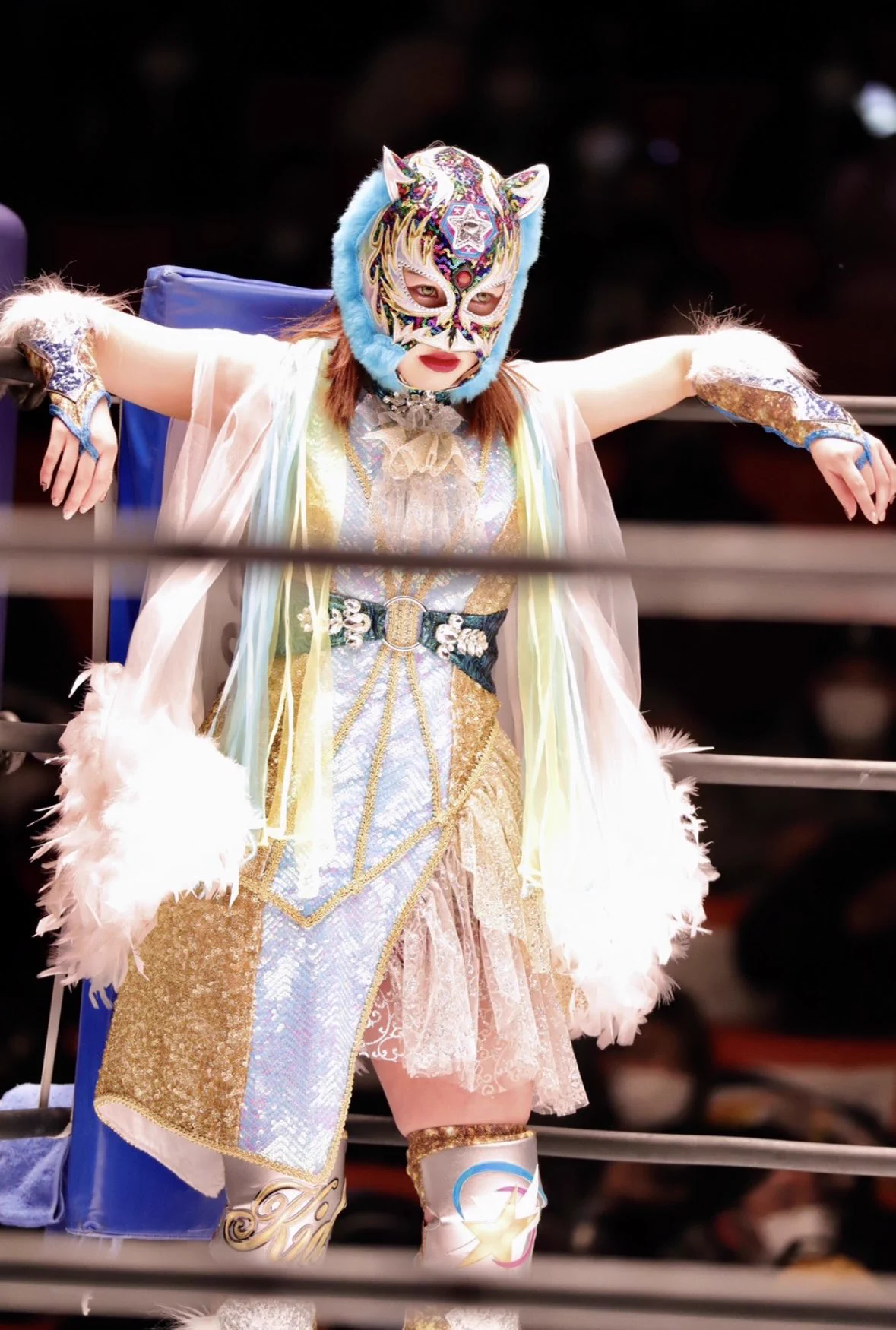 スターダム💙スターライト・キッド🐯🤍 on X: 