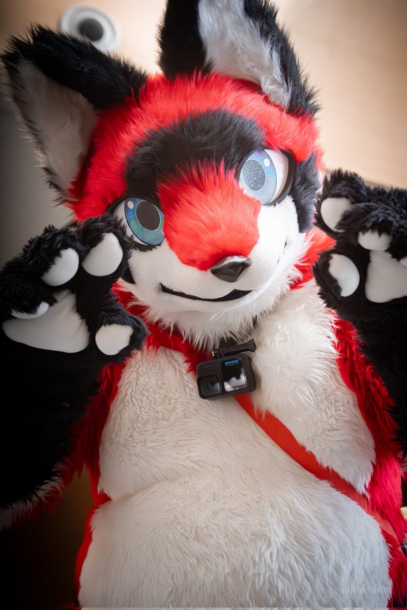❤️🖤 
マグくん、なんか大きくてかわいい〜！
#hifurry