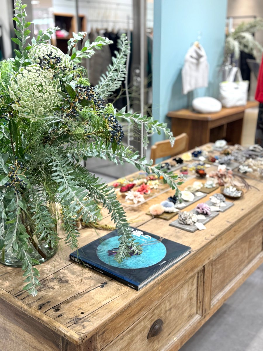 プレスMです♪本日より、東武百貨店池袋店4F 2番地「KEI Hayama PLUS」にて、ブランドフェア&amp;アトリエ染花 POP UP SHOPがスタートしました。10/26(日)まで。この機会にぜひ足をお運びくださいませ。⇒x.gd/lHE4r
#アトリエ染花
#花ブローチ
#花コサージュ
#フラワーネックレス