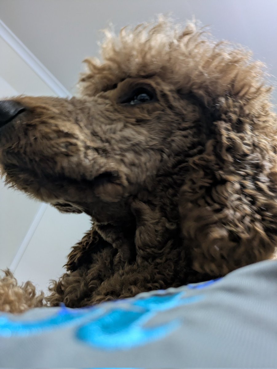 Matt K ⚓ tweet media