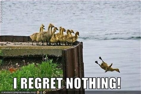 来币圈是为了翻身，重生不翻身意义何在？韭菜必备翻身种子。
CA:0x7730c68274dedacd4d9ed4845d14b0f44df54444