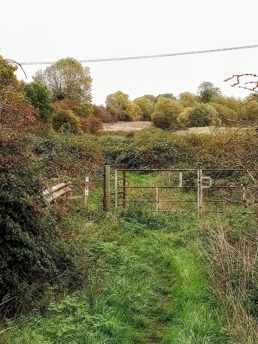 phil0073's tweet photo. #NeneValleyWay aka #NeneWay gateway near site of #DitchfordRailwayStation & running close by the route of the #LNWR #Railways line. The #NeneWay is 110 miles/177 kilometres long.#PhilOnaBike #FootpathFriday #lovegates #Thursgate #WoodlandWednesday https://t.co/pAWGbE5rpf