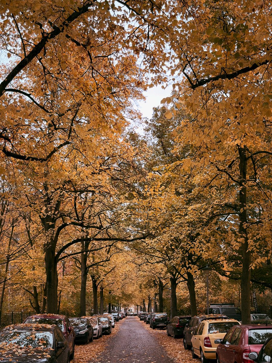 Hassan Sami Adnan tweet media