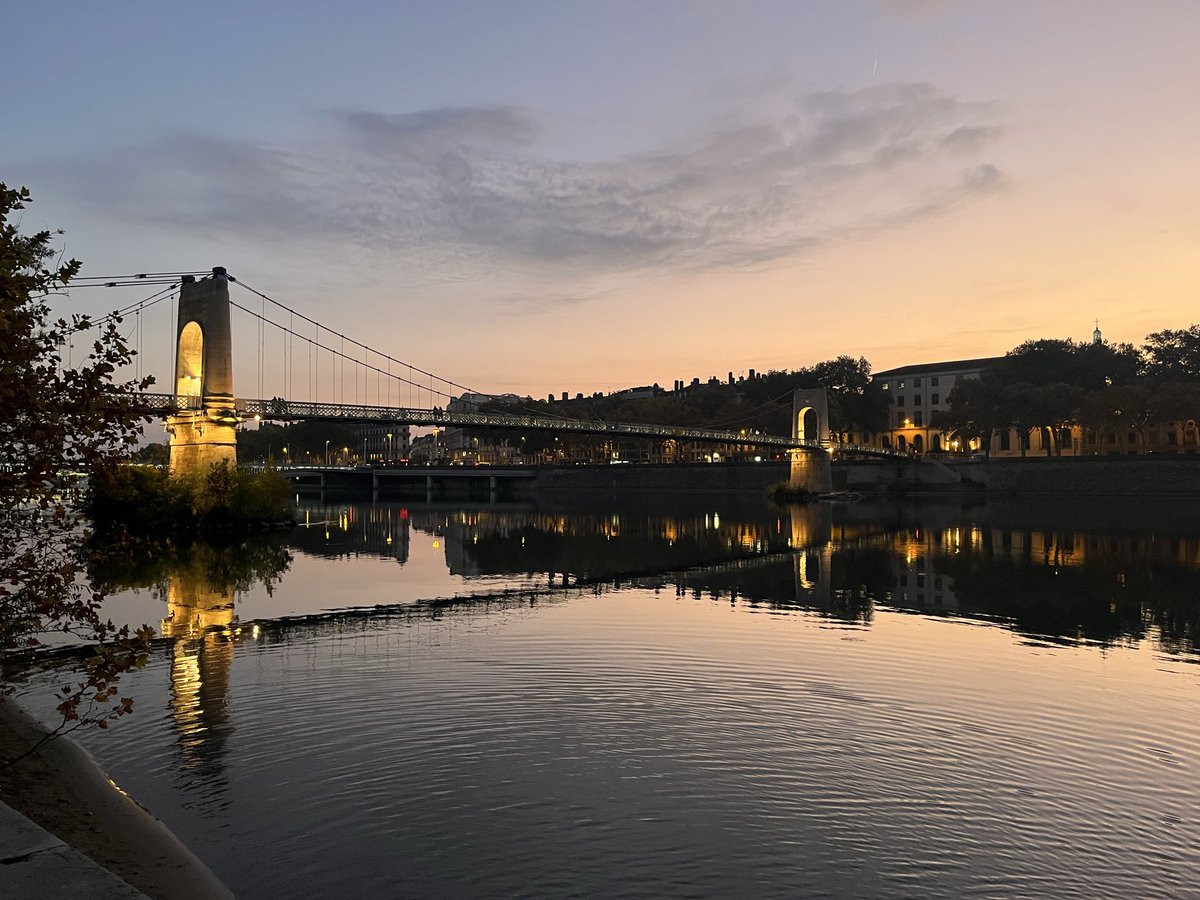 Mateusz Zalewski tweet media