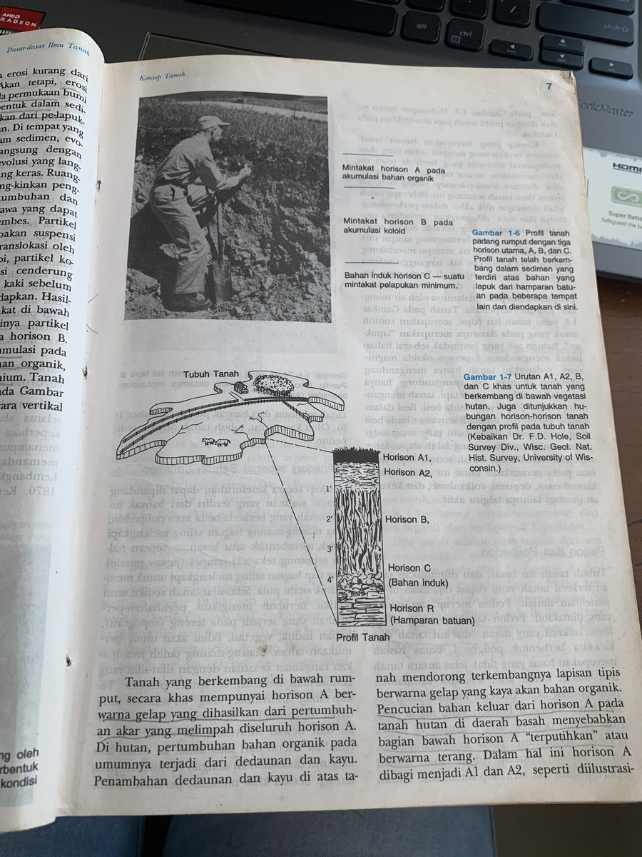 eyaa 🥣 tweet media