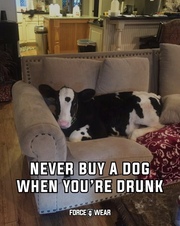 ForceWearHQ's tweet image. Happy Friday Troops 🤣

#forcewearhq #veteranmemes #militaryhumour