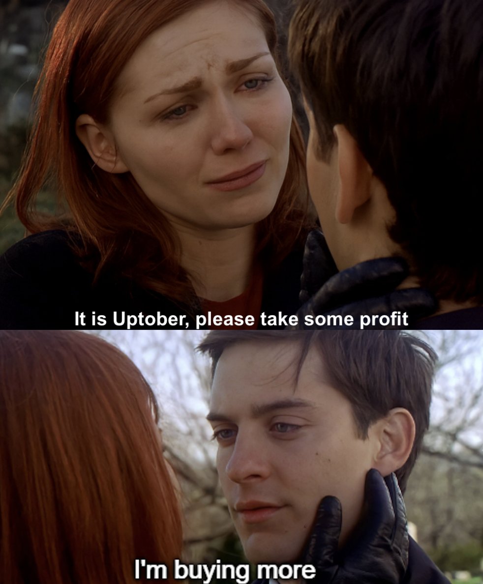 Shenron Intern 🐉 tweet media