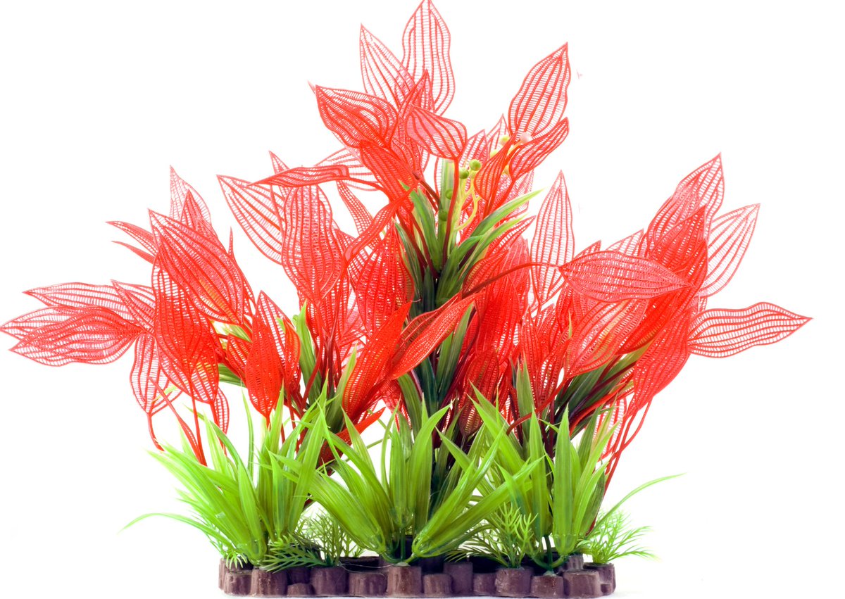 The Benefits of using Plastic Plants in an Aquarium

🌱 Plastic aquarium plants offer a lot of practical and aesthetic perks, especially for aquarists who want eye-catching aquascapes without the hassle of live plant care. Here are some top benefits:

🌟 Key Advantages of Plastic