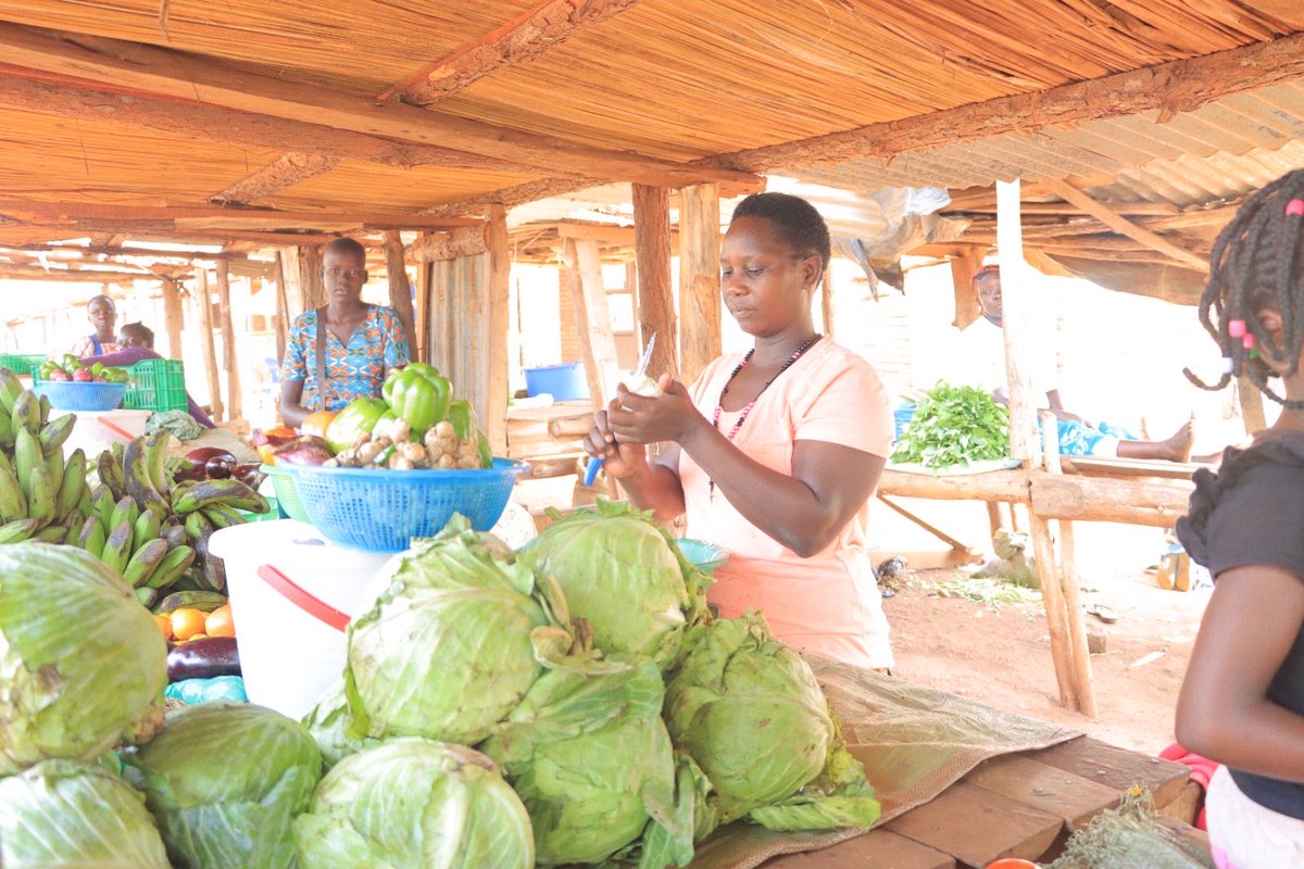 On International Day for Eradication of Poverty, we reaffirm our commitment to empowering vulnerable groups through green and inclusive finance ♻️

<a href="/aBiDevtFinance/">Agricultural Business Initiative (aBi)</a>’s interventions have created 300K+ jobs and provided 945K+ lines of credit to beneficiaries - including refugees! 🌟