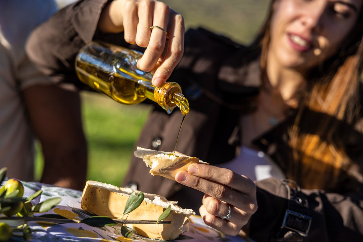 Acht spanische Provinzen fördern ein einzigartiges ländliches Erlebnis 🌿 Der Olivenöltourismus führt durch jahrhundertealte Olivenhaine, Ölmühlen, Kulturrouten und Verkostungen von nativem Olivenöl extra in Reisezielen wie Jaén, Córdoba, Sevilla, Cáceres oder Tarragona
🌳 Eine