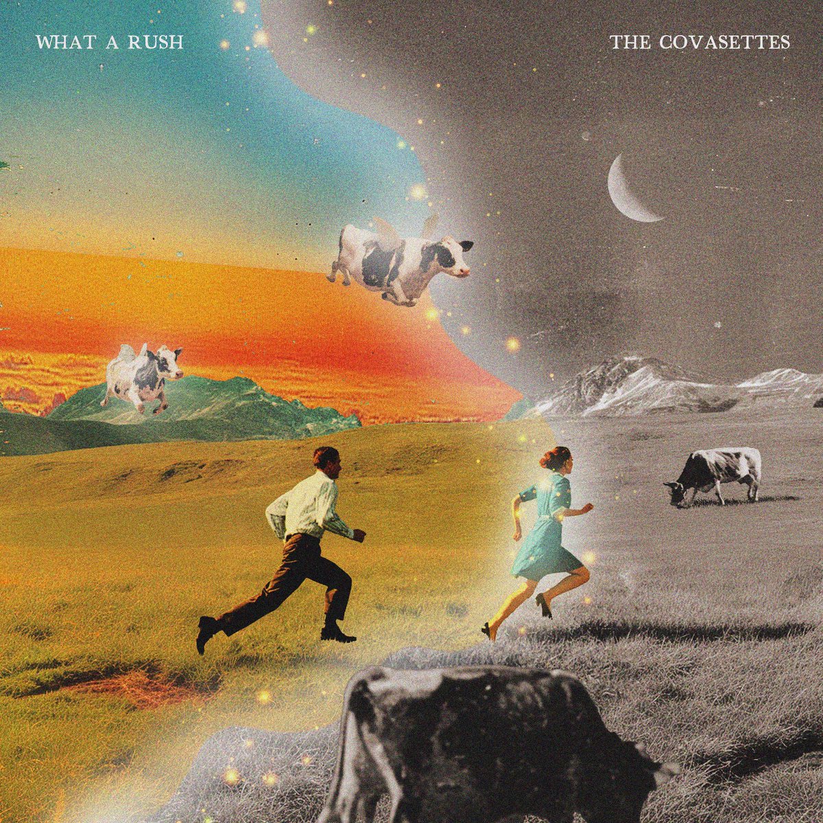 Our latest single ‘What A Rush’ is OUT NOW! 

Enjoy a slice of our album 🐄 

spotify.link/zgKsIog9wXb
