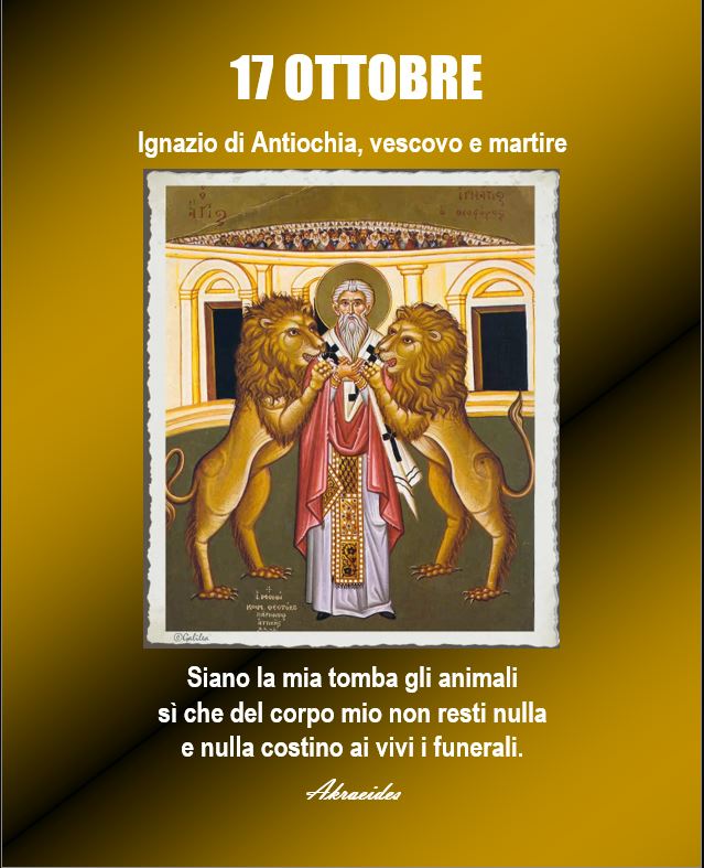 akraeides's tweet image. 