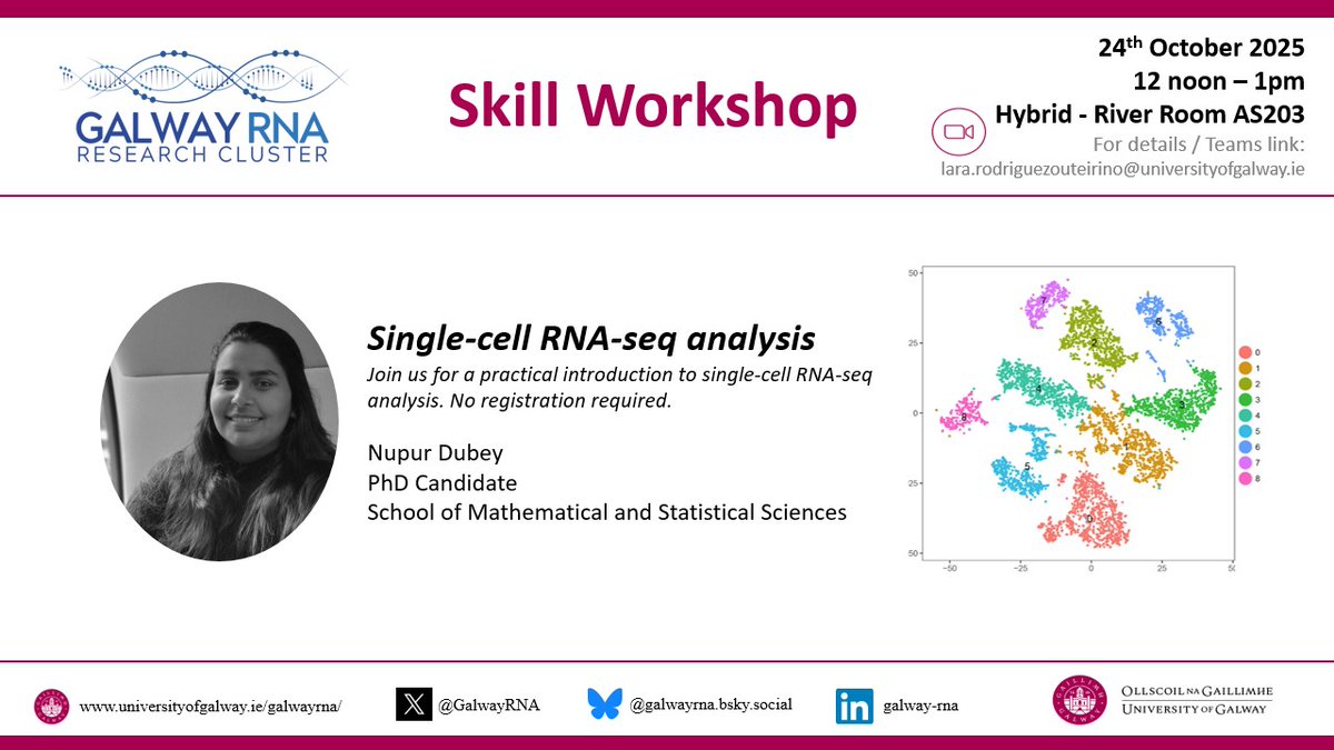 Want to learn how to get started with single-cell RNA-seq analysis? 🧬
Join our next Skill Workshop, Friday, 24th October, organised by the #GalwayRNAResearchCluster.
Don’t miss the chance to boost your research skills! 💡