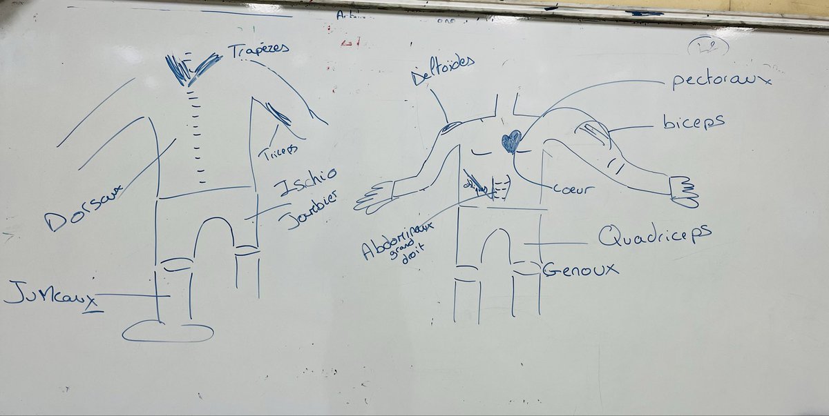 J’ai tout donné pour les faire réviser….