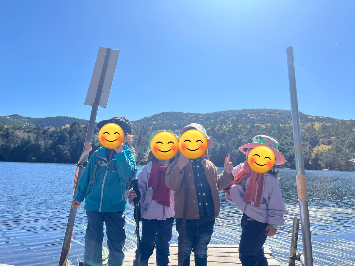 ゆっぴー 楽天市場】ユカペットLX Sサイズ (05166) 日本製 ペット用高温