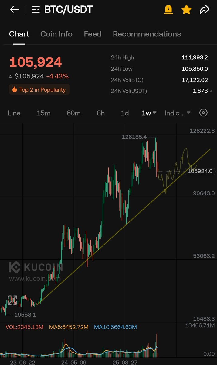 WIZZ🥷 ( beware scammers ) tweet media