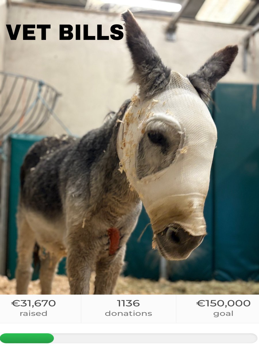 💔💔VET BILLS…HELP US REACH OUR GOAL💔💔
donate.mylovelyhorserescue.com/emergency-vete…

We struggle yet we continue to take in poor animals with broken legs, emaciated, on deaths door…WE NEED HUMAN SUPPORT💔

We know we constantly have to ask for donations and that is because we are constantly out