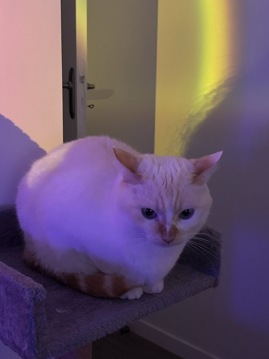 avion paré à décoller