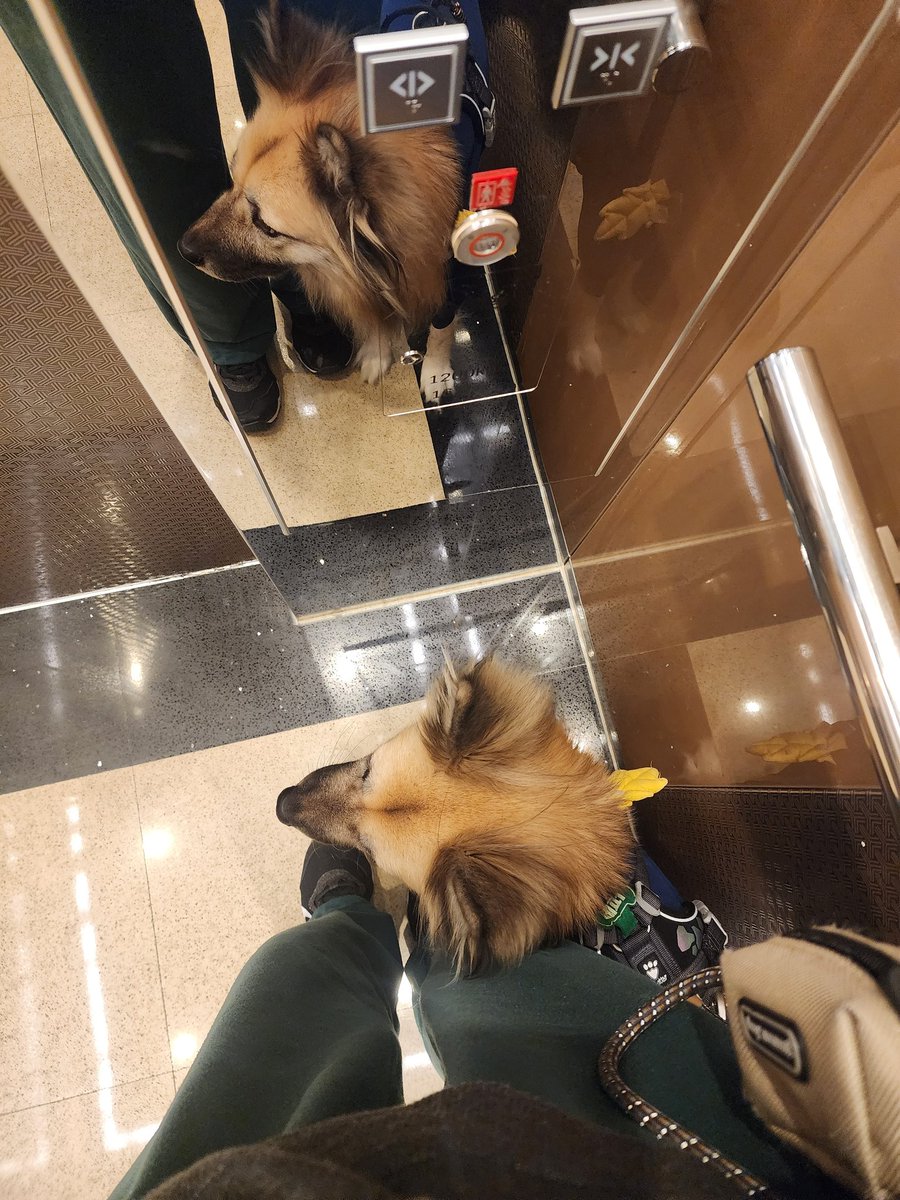 엘베에선 언니 옆에 착 붙어서