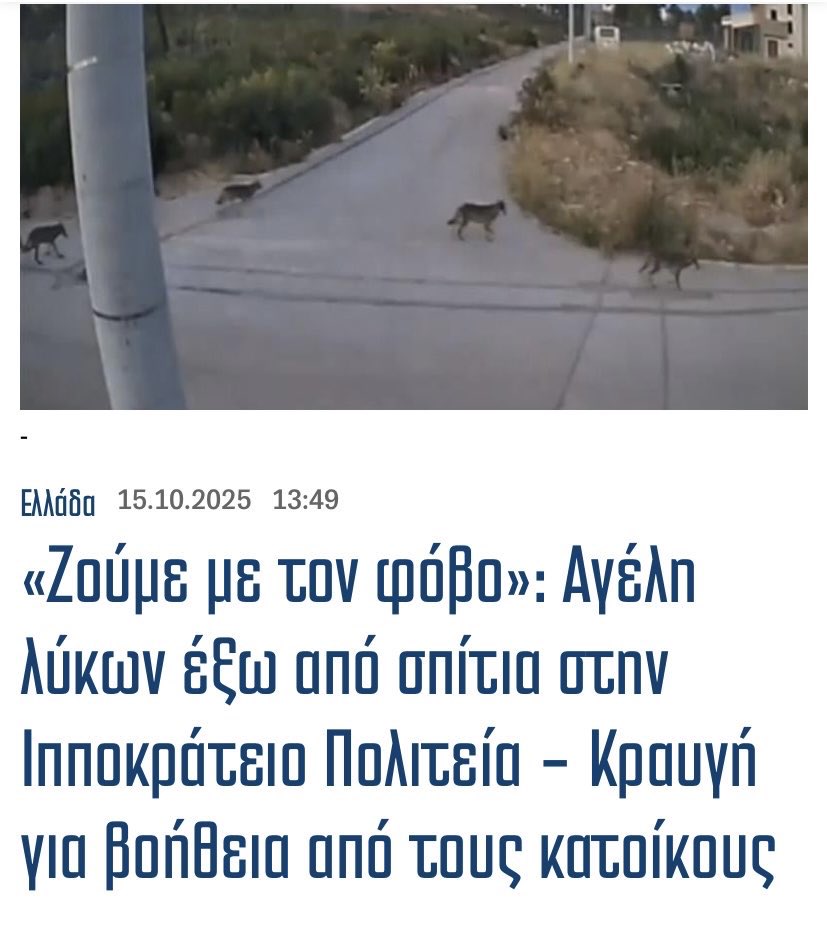 Χτίζεις το με τόσο κόπο τη μεζονέτα σου στο δάσος και πάνε οι σκατολυκοι και σου γαμάνε το vibe.