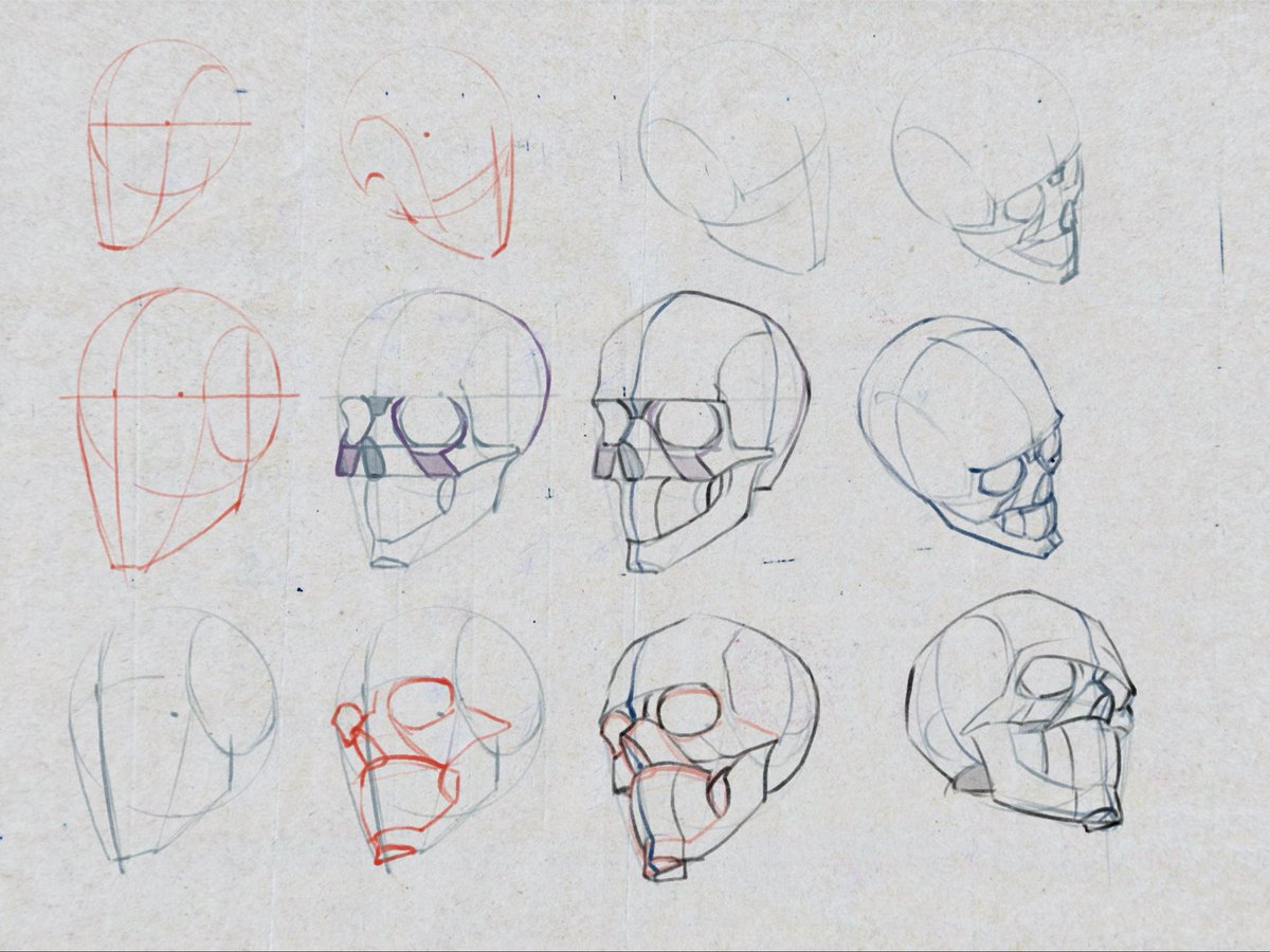 deepseabed's tweet image. 気づかぬうちに蒙小洛老师の哔哩哔哩アカウントができていて、それを参考に簡略化頭蓋骨。そこでしったんだけど、中文版の人体の構造と動きはもう増刷されることはないらしい。ご本人がまだ手に入るかもわからないとおっしゃっていた。みんな日本語版をどしどし買おう。
#日々描く #drawing