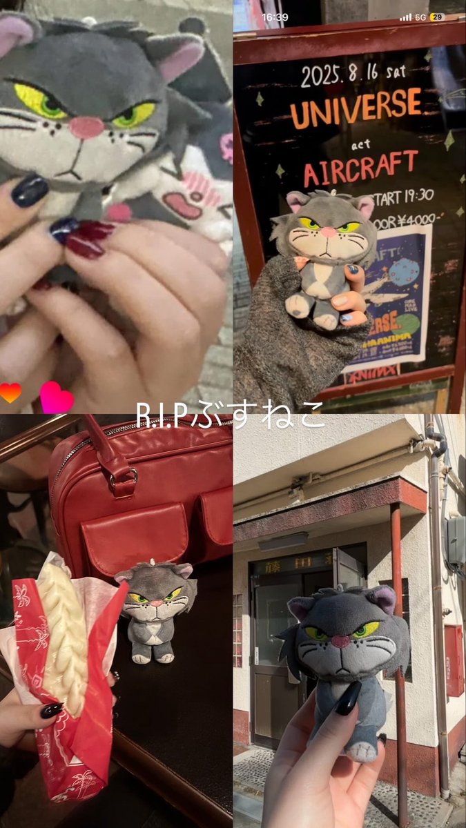 交番のお兄さんに「旅行ですか？…へー、こんななんもないとこに(笑)」と言われた　門真のみなさま、道にグレーのねこが落ちてたら保護しておいてください・・