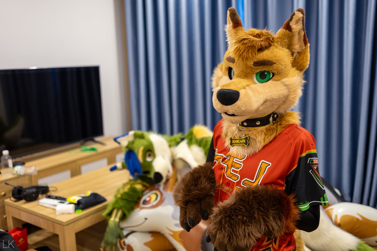 💥 💥 💥 💥 💥
"you see nothing"

🟢  <a href="/Wufuzz/">Wufuzz ➡️ Furum 🇲🇾</a> 
📷  <a href="/linkkunghusky/">Link🔜FURUM</a> 

#FursuitFriday