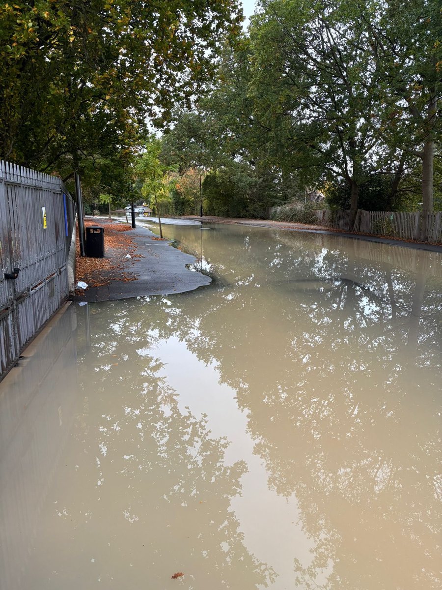 Flooded roads and chaos in Dulwich due to more <a href="/thameswater/">Thames Water 💧</a> water main bursts. Gallery Rd this morning.